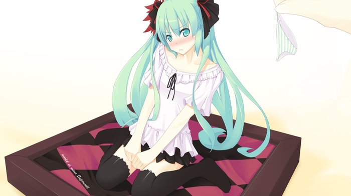 Hatsune Miku, Vocaloid