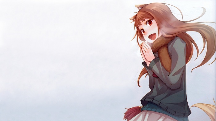 cold, anime girls, Holo, Spice and Wolf, anime