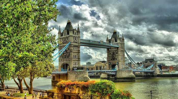 bridge, nature