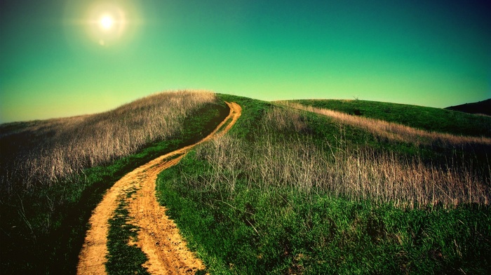 field, dirt road, landscape, path