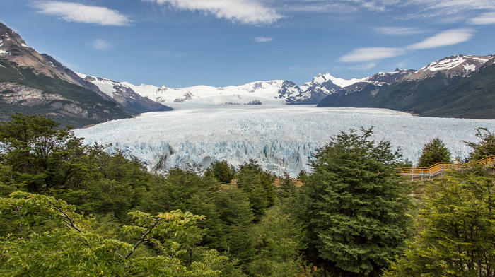 sky, mountain, forest, ice, nature