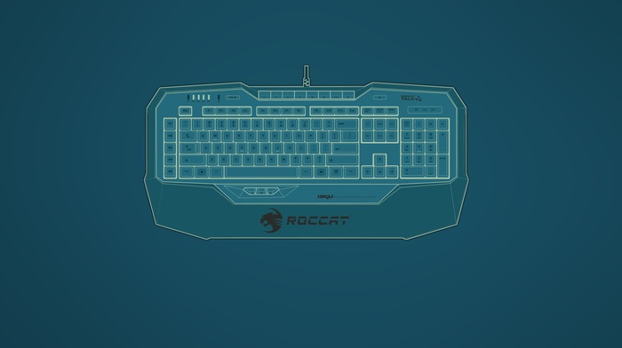 minimalism, Roccat, Isku