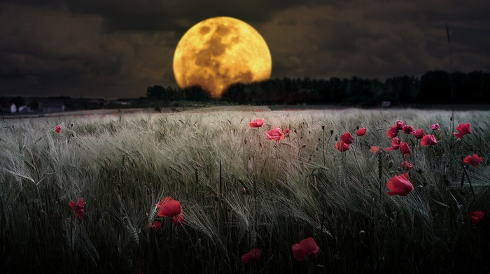 moon, nature