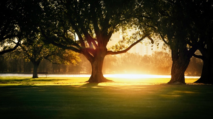 nature, sunset