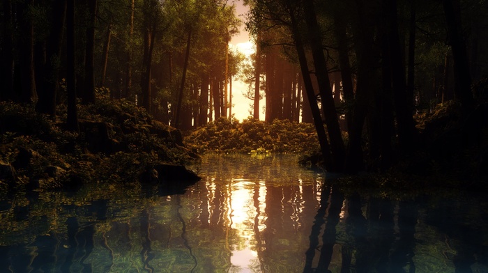 water, trees, forest, lake, reflection, sunset