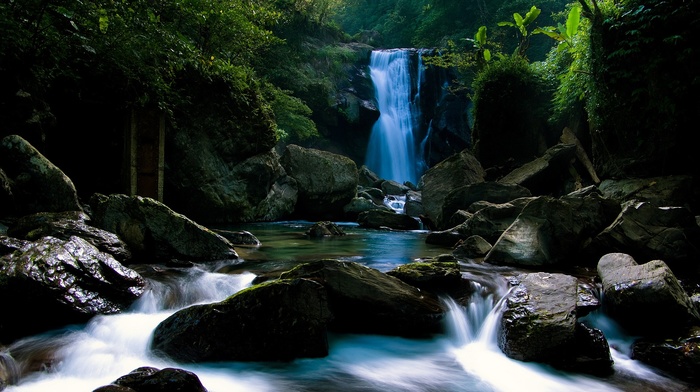forest, water, waterfall, trees