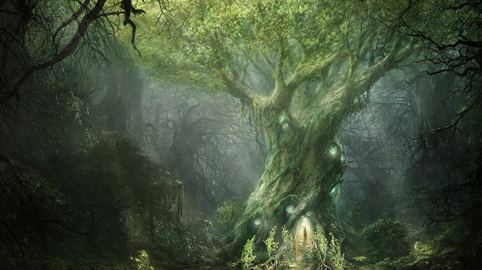 forest, fantasy art