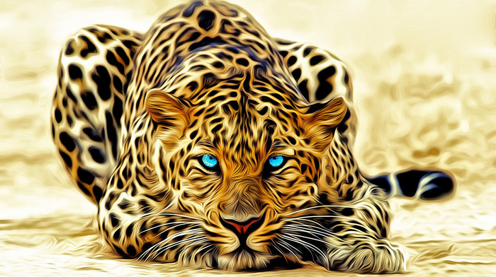 eyes, lies, 3D, leopard