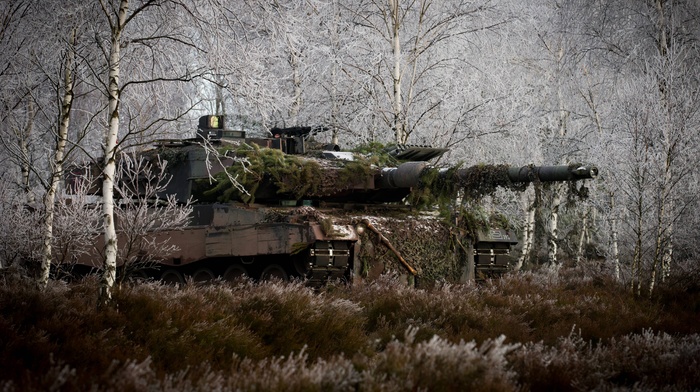 Bundeswehr, Leopard 2, swamp