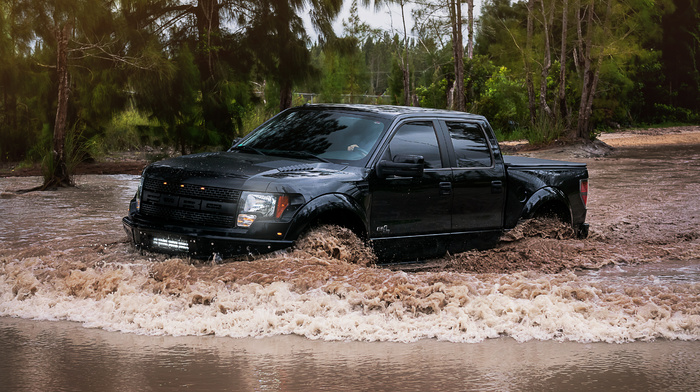 black, power, water, nature, cars, Ford