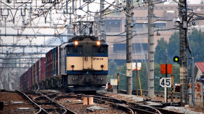 nature, train