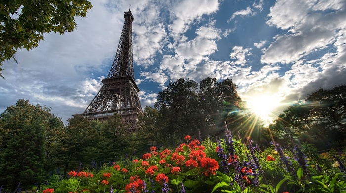 tower, stunner, sky, flowers