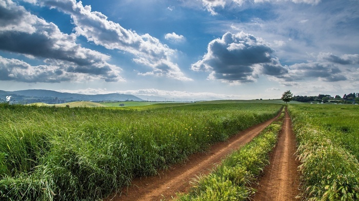 clouds, field, nature