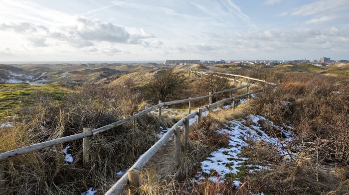 Netherlands, Egmond, path, nature, dune