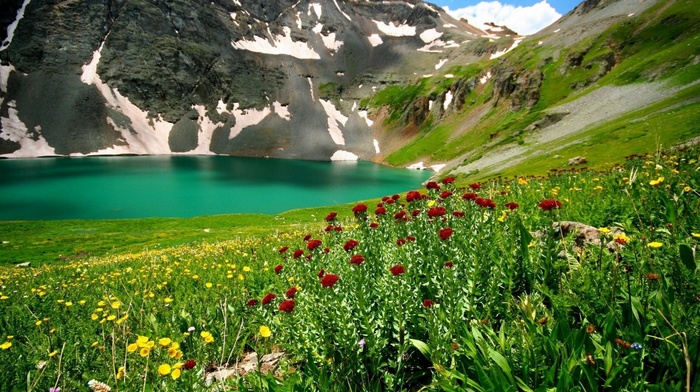 flowers, lake, nature, mountain