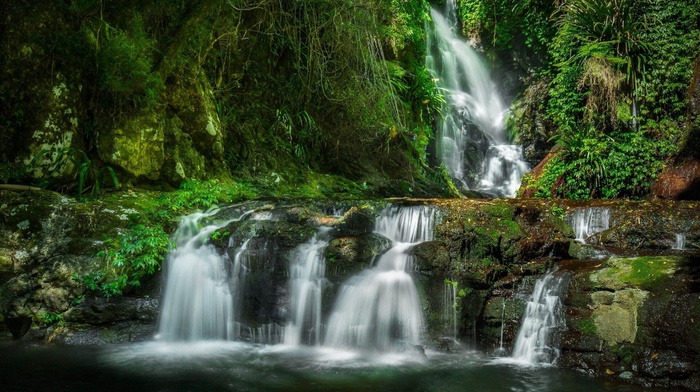 nature