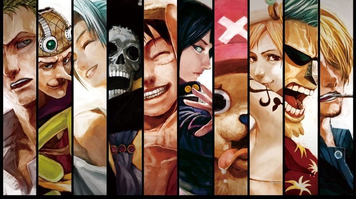 Roronoa Zoro, Usopp, panels, Nami, One Piece, Brook, Tony Tony Chopper, Sanji, Princess Vivi, Nico Robin, Monkey D. Luffy