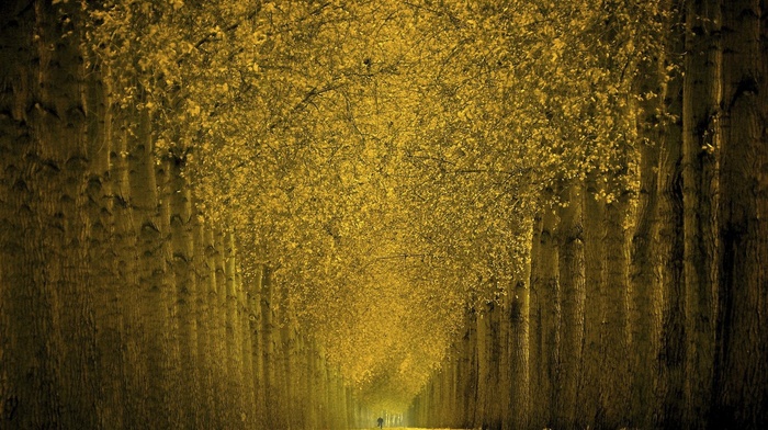 nature