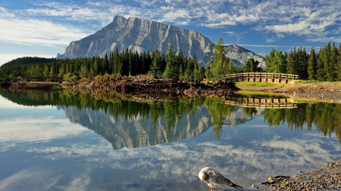 lake, reflection, nature, landscape, Canada, bridge