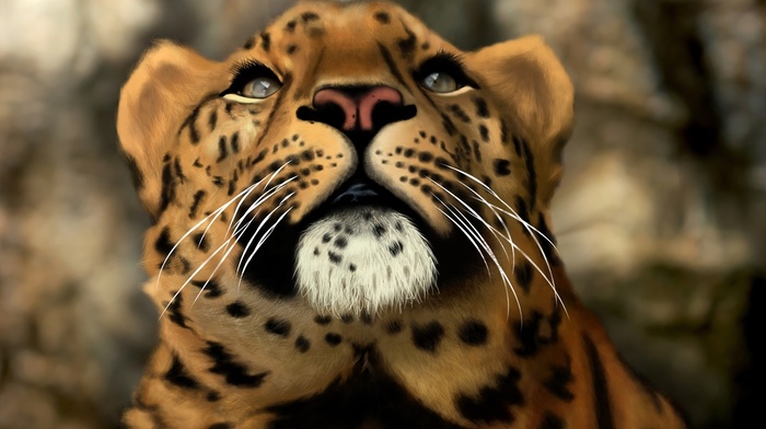 3D, predator, leopard, photoshop