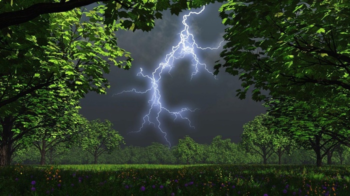 stunner, summer, grass, lightning