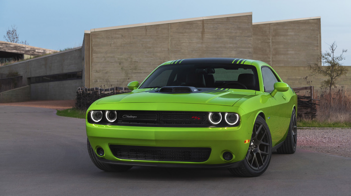 Dodge, cars, road