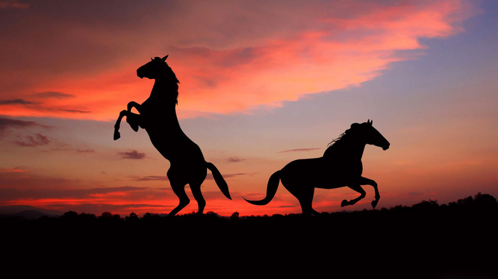 stunner, silhouette, sky, sunset, horse, clouds