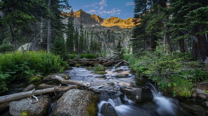 nature, stones, rocks, trees