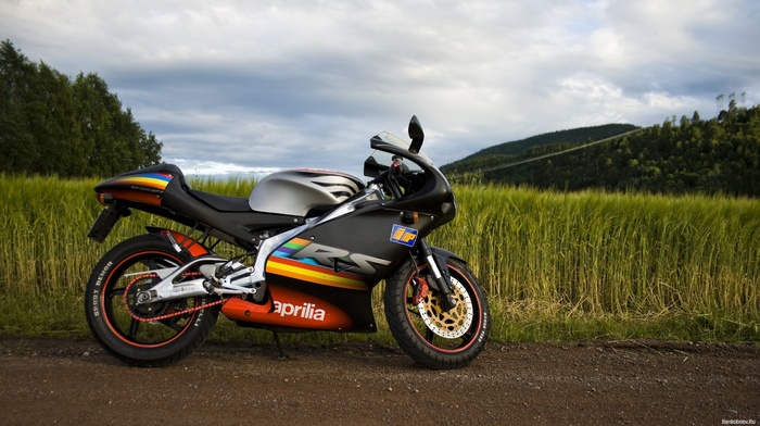 nature, motorcycles, road