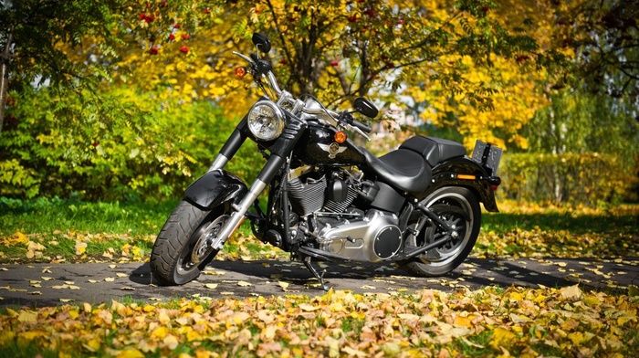 motorcycles, autumn, foliage