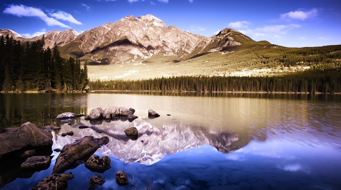 stones, nature, forest, mountain