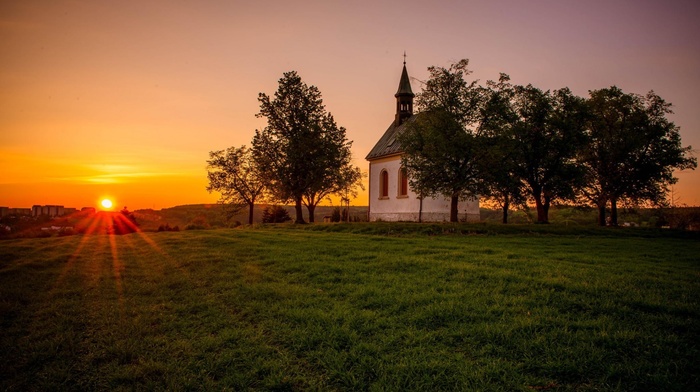 nature, landscape, sunset, trees