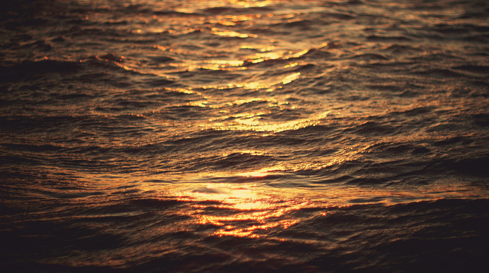 sunset, light, sea, waves, nature