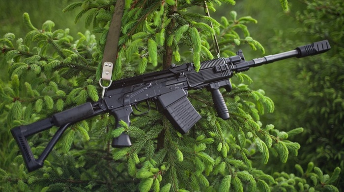 nature, gun