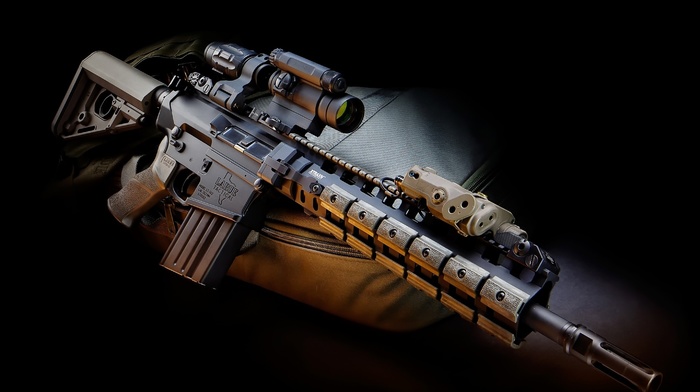 gun