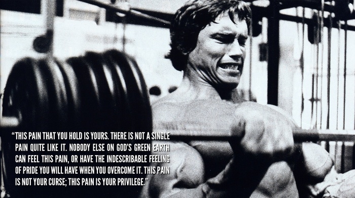 Bodybuilder, Arnold Schwarzenegger, bodybuilding