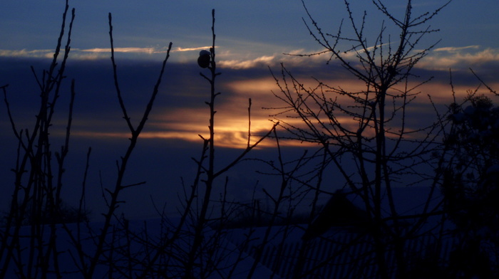 nature, sunset