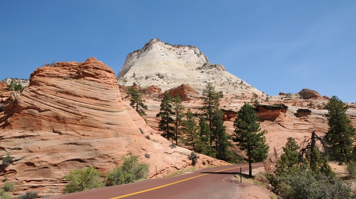 nature, trees, rocks, road, beauty, sky