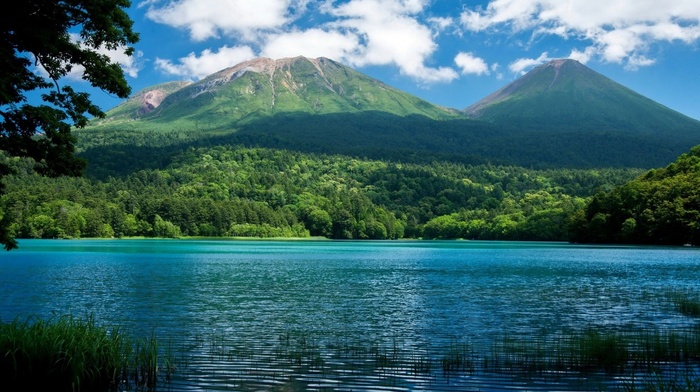 mountain, nature, forest, river, trees