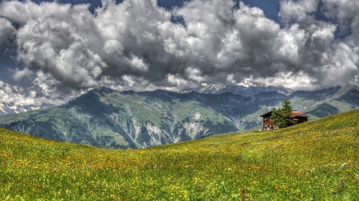 mountain, flowers, nature, grassland, house, clouds, grass