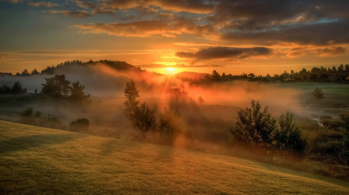 mist, clouds, trees, sunset