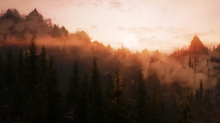 trees, mountain, mist, sunset, forest