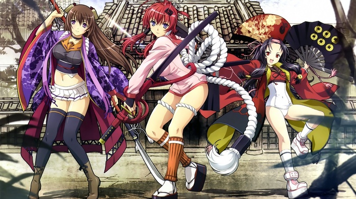 Tokugawa Sen, Yagyuu Juubei, Hyakka Ryouran Samurai Girls, Sanada Yukimura