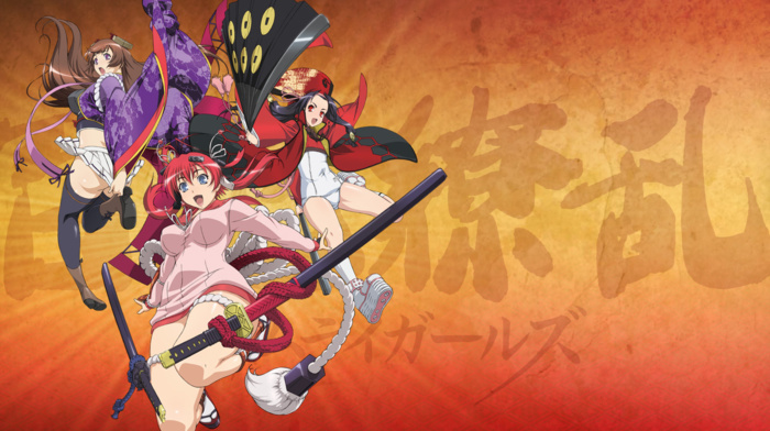 Yagyuu Juubei, Hyakka Ryouran Samurai Girls, Tokugawa Sen, Sanada Yukimura