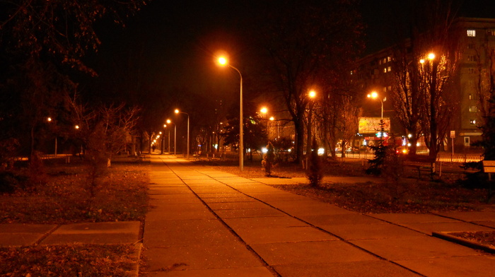 Ukraine, cities, road, evening, winter