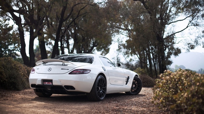 cars, white