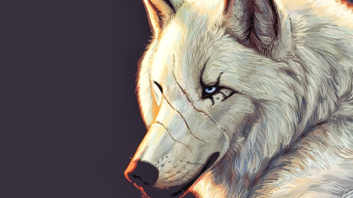 wolf