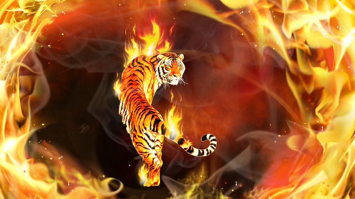 fire, 3D, photoshop, tiger, flame
