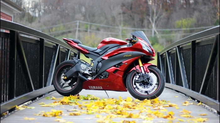 leaves, bridge, autumn, motorcycles