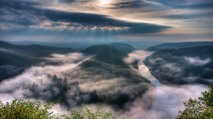 mountain, trees, mist, forest, Sun, river, sky, nature, morning
